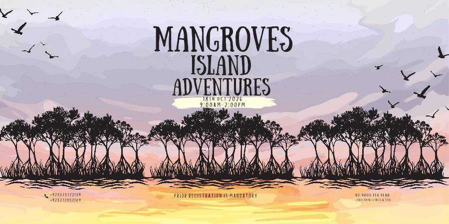 Mangroves Island Adventures